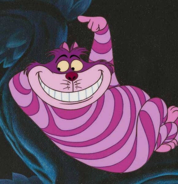 Photo of Cheshire Cat,